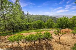 2240 Slate Ct, Greenwood, CA 95635 - Photo 37