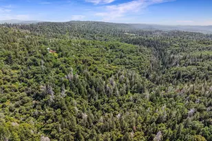 2240 Slate Ct, Greenwood, CA 95635 - Photo 59