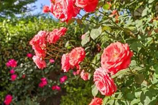 1912 Douglas Rd, Stockton, CA 95207 - Photo 37