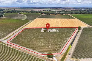 52929 Co Rd 141, Clarksburg, CA 95612 - Photo 19