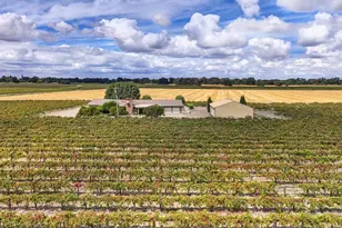 52929 Co Rd 141, Clarksburg, CA 95612 - Photo 43