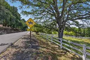 2440 Otter Trail, Cool, CA 95614 - Photo 29