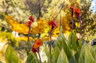 14446 Perimeter Rd, Grass Valley, CA 95949 - Photo 11