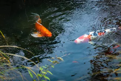 14446 Perimeter Road, Grass Valley, CA 95949 - Photo 37