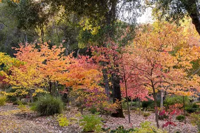14446 Perimeter Road, Grass Valley, CA 95949 - Photo 33