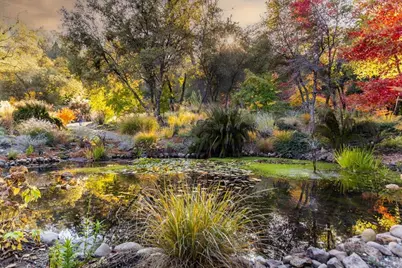 14446 Perimeter Road, Grass Valley, CA 95949 - Photo 5