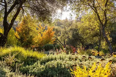 14446 Perimeter Road, Grass Valley, CA 95949 - Photo 67