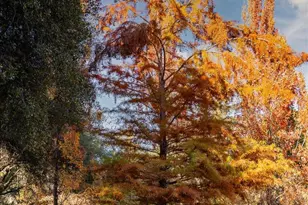 14446 Perimeter Rd, Grass Valley, CA 95949 - Photo 29