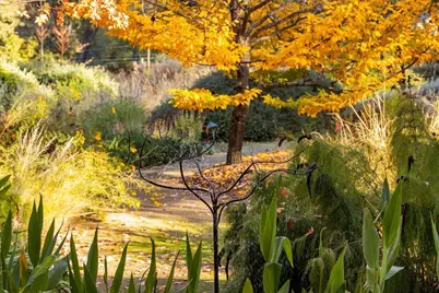 14446 Perimeter Road, Grass Valley, CA 95949 - Photo 25