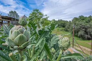 5620 China Hill Rd, El Dorado, CA 95623 - Photo 77