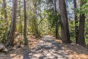 17884 Ruggles Ct, Pioneer, CA 95666 - Photo 35