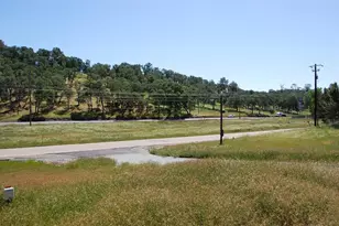 3106 Berkesey Ln, Valley Springs, CA 95252 - Photo 53