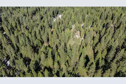 27460 State Highway 88, Pioneer, CA 95666 - Photo 3