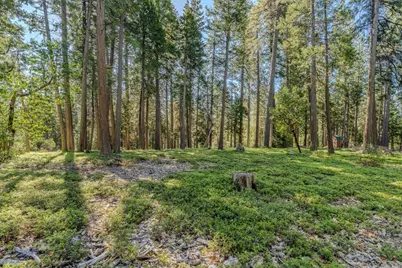 27460 State Highway 88, Pioneer, CA 95666 - Photo 25