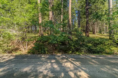 27460 State Highway 88, Pioneer, CA 95666 - Photo 5