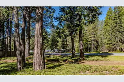 27460 State Highway 88, Pioneer, CA 95666 - Photo 37