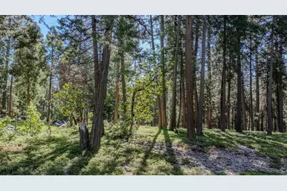 27460 State Highway 88, Pioneer, CA 95666 - Photo 17