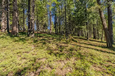 27460 State Highway 88, Pioneer, CA 95666 - Photo 21