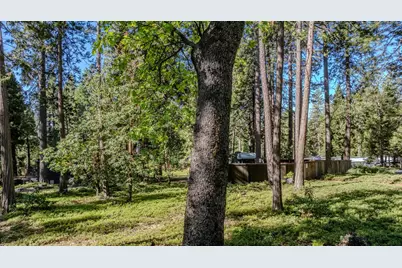 27460 State Highway 88, Pioneer, CA 95666 - Photo 19
