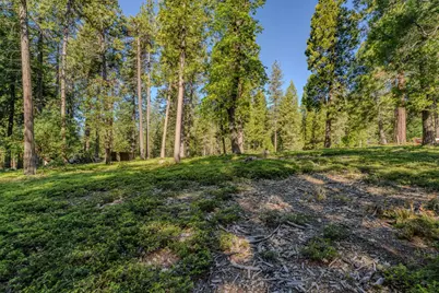 27460 State Highway 88, Pioneer, CA 95666 - Photo 13