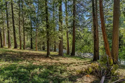 27460 State Highway 88, Pioneer, CA 95666 - Photo 9