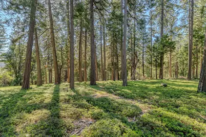 27460 State Highway 88, Pioneer, CA 95666 - Photo 43