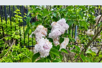 39000 Kearsarge Mill Road, Alta, CA 95701 - Photo 57