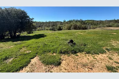 0 Greenbush Road, Forbestown, CA 95941 - Photo 1