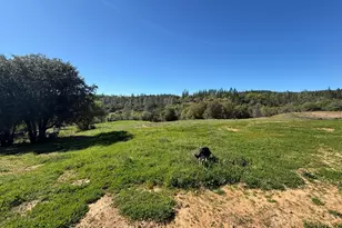 0 Greenbush Rd, Forbestown, CA 95941 - Photo 1