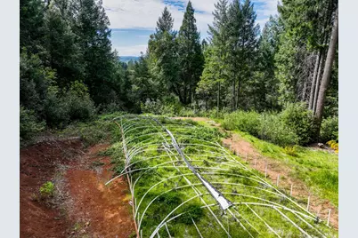 16600 Holiday Way, Nevada City, CA 95959 - Photo 7