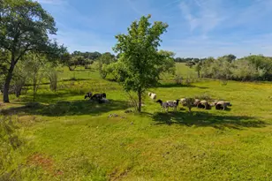 57 Sam Lynn Way, Oroville, CA 95966 - Photo 71