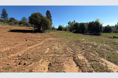 0 Greenbush Rd, Forbestown, CA 95941 - Photo 15