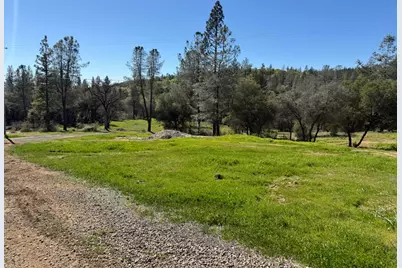 0 Greenbush Rd, Forbestown, CA 95941 - Photo 3