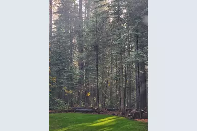 34160 Cable Road, Alta, CA 95701 - Photo 17