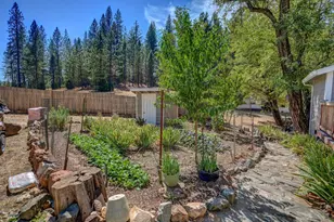 716 Railroad Flat Rd, Mokelumne Hill, CA 95245 - Photo 31