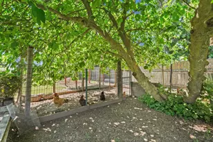 10450 Walnut Grove Rd, Thornton, CA 95686 - Photo 47