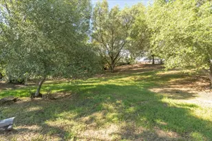 379 Perlina Terrace, Angels Camp, CA 95222 - Photo 49