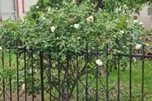 329 S Stockton Ave, Ripon, CA 95366 - Photo 29