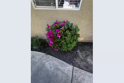 1780 Alicante Drive, Roseville, CA 95747 - Photo 37