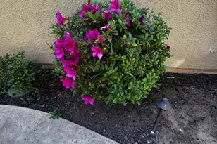 1780 Alicante Dr, Roseville, CA 95747 - Photo 37