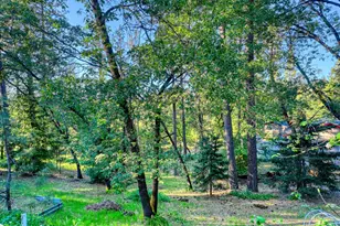 20925 Indian Dr, Colfax, CA 95713 - Photo 51