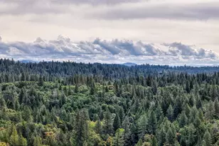 3680 Greenwood Rd, Greenwood, CA 95635 - Photo 29