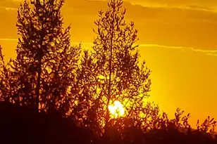 3680 Greenwood Rd, Greenwood, CA 95635 - Photo 31