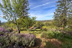 10285 Ponderosa Way, Pine Grove, CA 95665 - Photo 3
