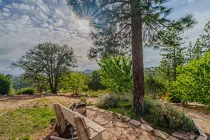 10285 Ponderosa Way, Pine Grove, CA 95665 - Photo 65