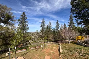 10285 Ponderosa Way, Pine Grove, CA 95665 - Photo 67