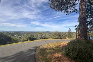 10285 Ponderosa Way, Pine Grove, CA 95665 - Photo 51