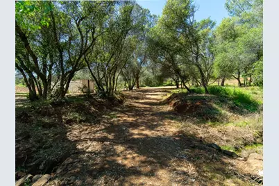 3924 Pine Cone Drive, Rescue, CA 95672 - Photo 15
