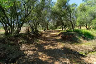 3924 Pine Cone Dr, Rescue, CA 95672 - Photo 15