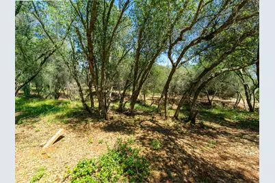3924 Pine Cone Drive, Rescue, CA 95672 - Photo 21